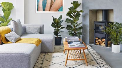 Grey living room with plants