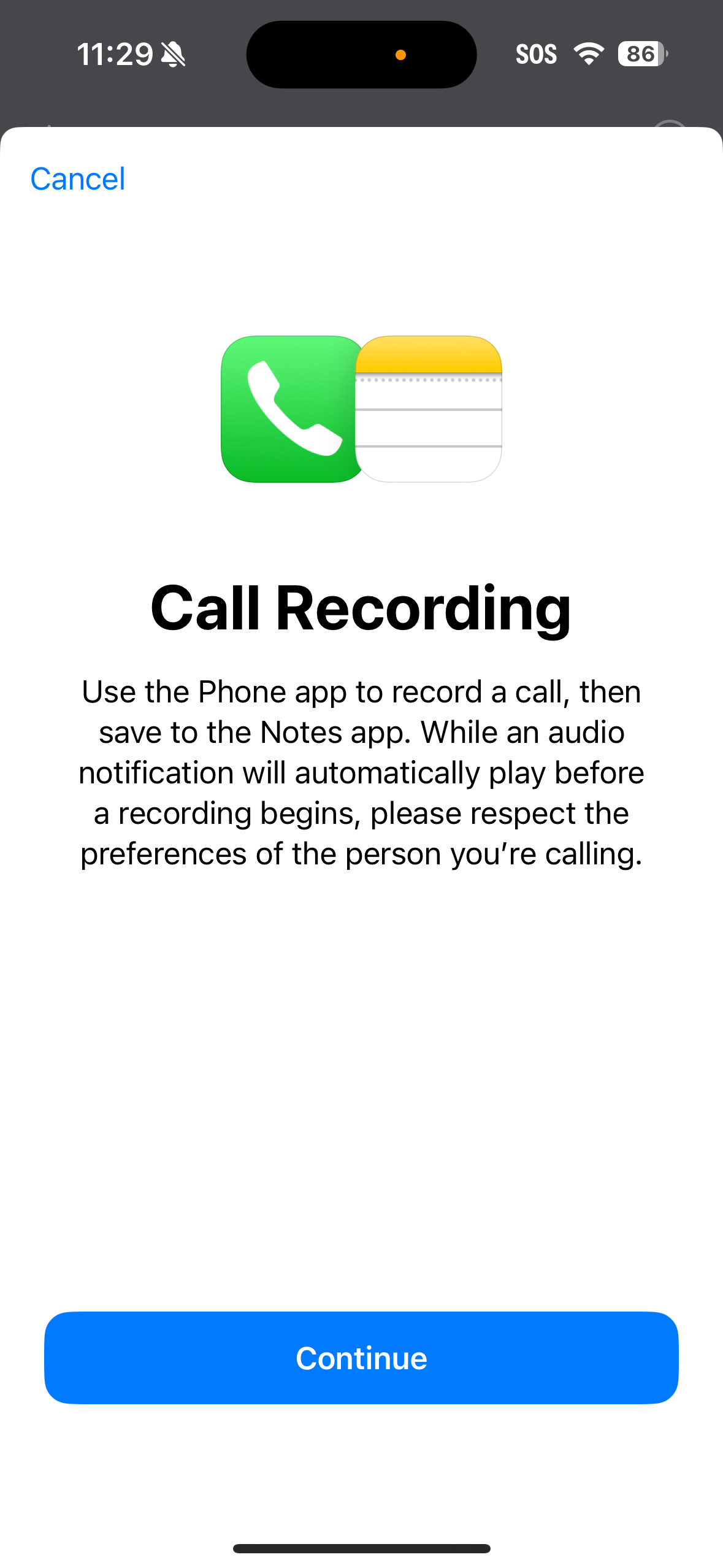 iOS 18 1 hands on call