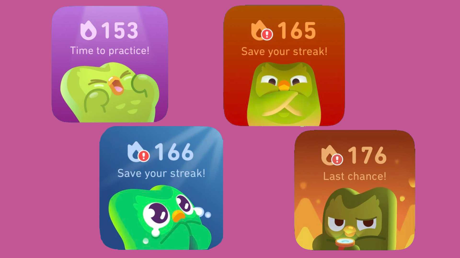 The Duolingo widget shows Duo looking determined, then angry, then crying tears of sadness, and then surrounded by fire as the bird's watch glows.