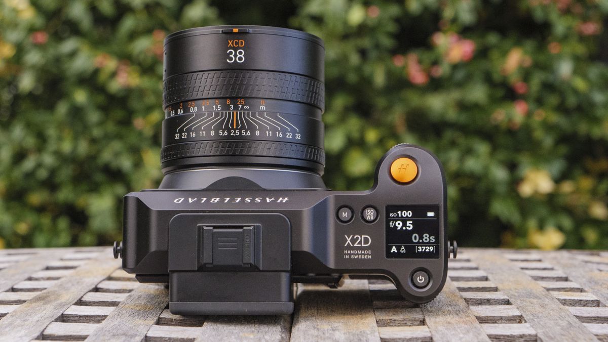 A Hasselblad camera sitting on a garden table