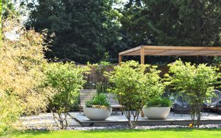 Backyard garden space with mixture of architectural planting and hard landscaping, with a wooden canopy over seating area