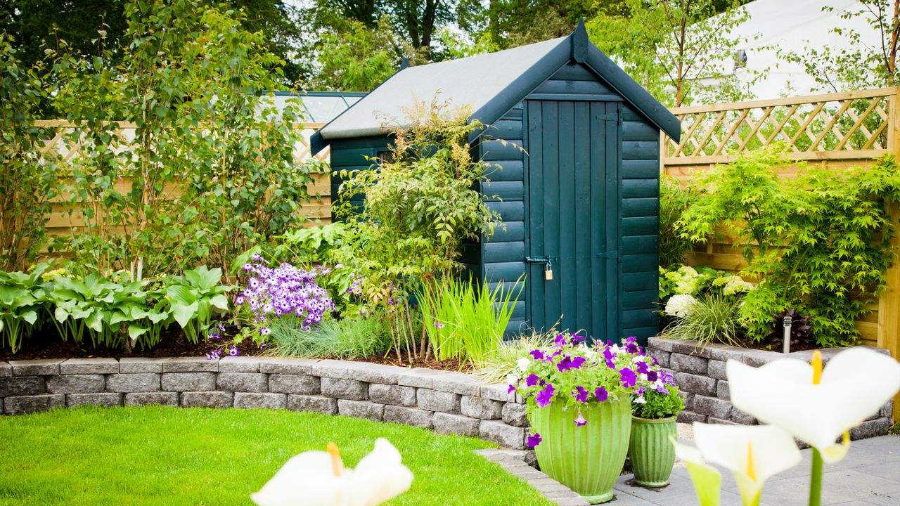 Small garden with a shed and plants