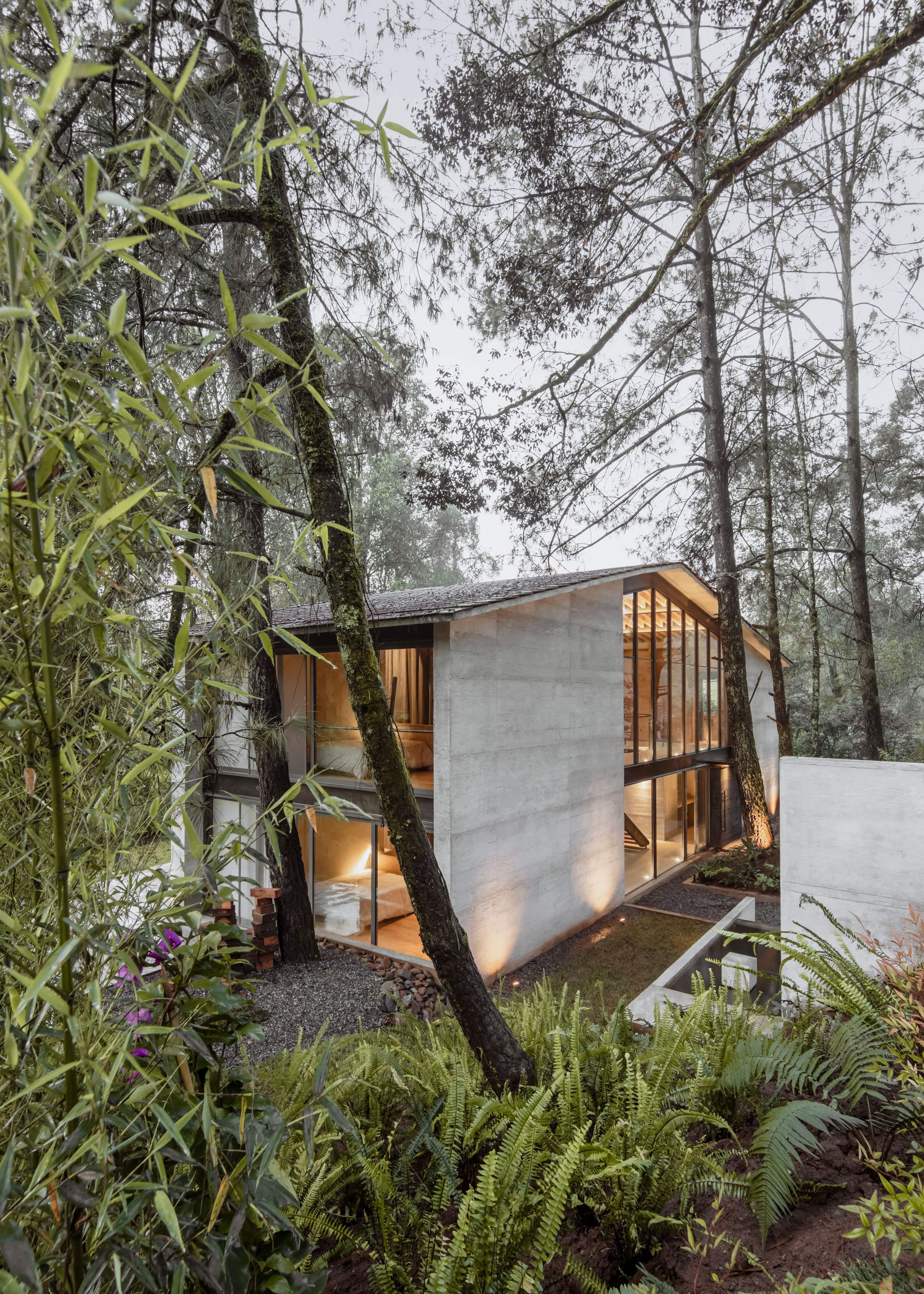 The House of the Tall Trees by 1i Arquitectura