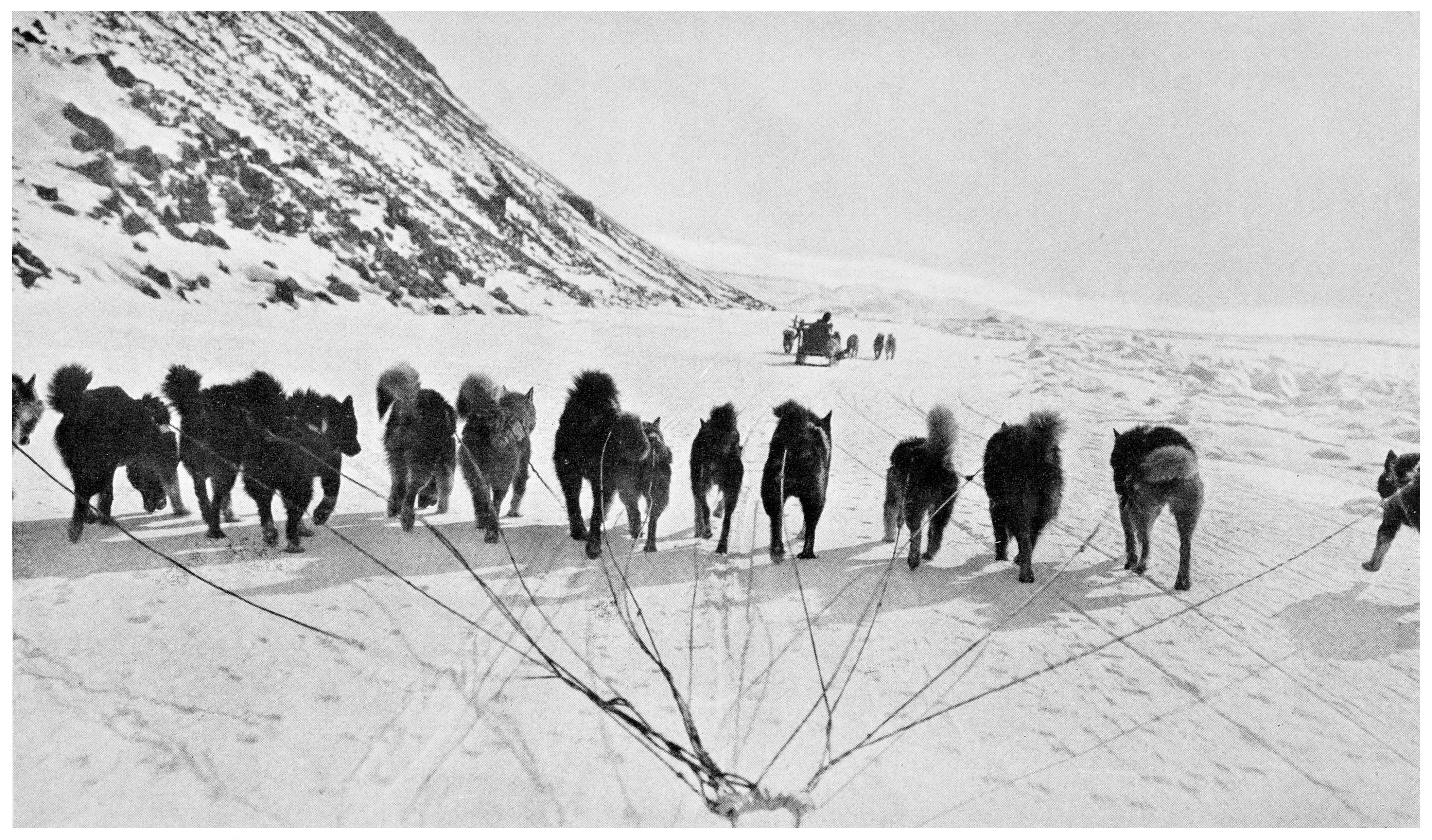 A line of husky sled dogs pulls a loaded sled across a vast, frozen landscape north of Rensselaer Bay, 1925.