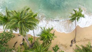 Punta Uva, Costa Rica