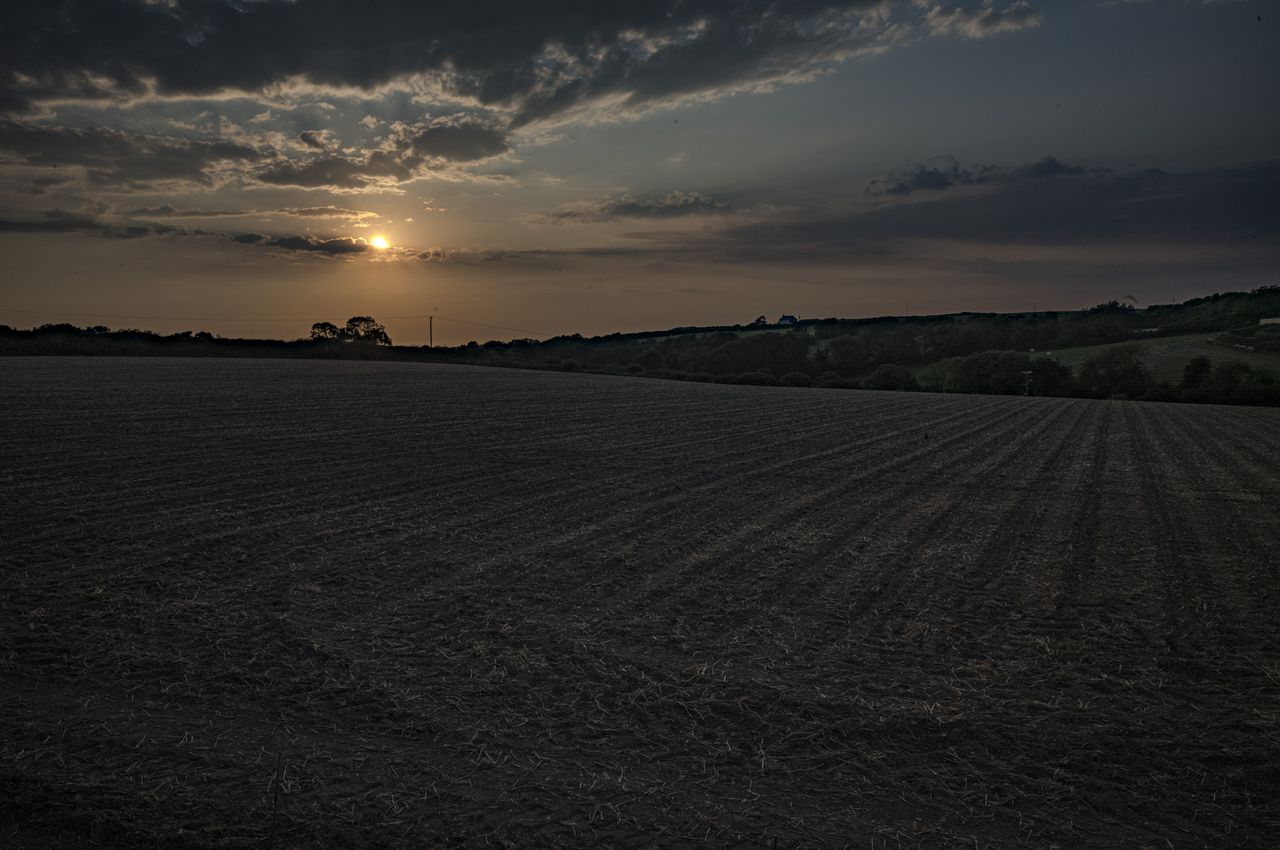 Leica 28mm Summicron-M samples