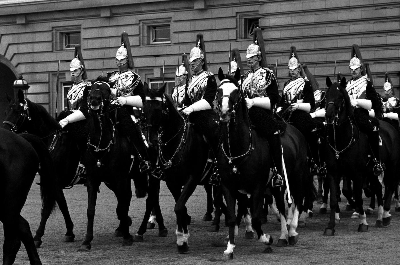 Household Cavalry horse Sefton (second right, white blaze) returning with the cavalry escort for the Queen's procession after the State opening of Parliament. Sefton was one of the horses injured in the Hyde Park Bombing.
