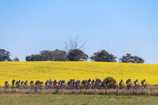 The bunch were greeted to warm and clear condition on stage 5 at the Tour of the Murray River