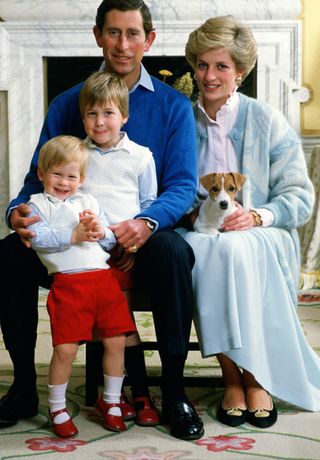 Prince William Princess Diana Prince Harry and Prince Charles