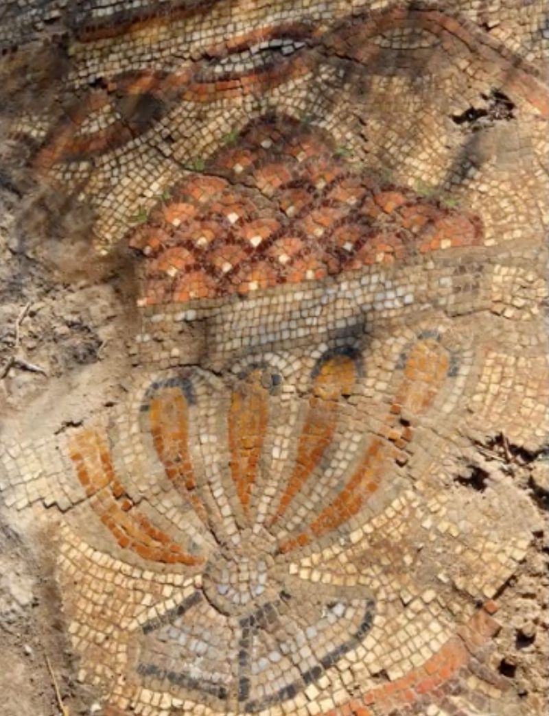 1,500-Year-Old Mosaic Shows Map of Ancient Egyptian Settlement | Live ...