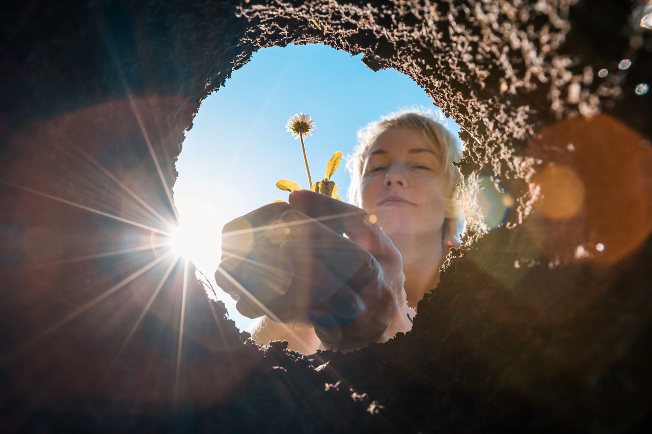 woman planting in the soil