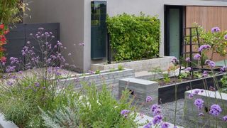 a modern-looking vegetable garden