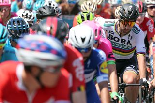 Peter Sagan rides in the peloton during stage 8 at Tour de Suisse