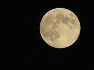 Mariah McGill of Fremont, CA, photographed the Harvest Moon on the clear evening of Sept. 11, 2011.