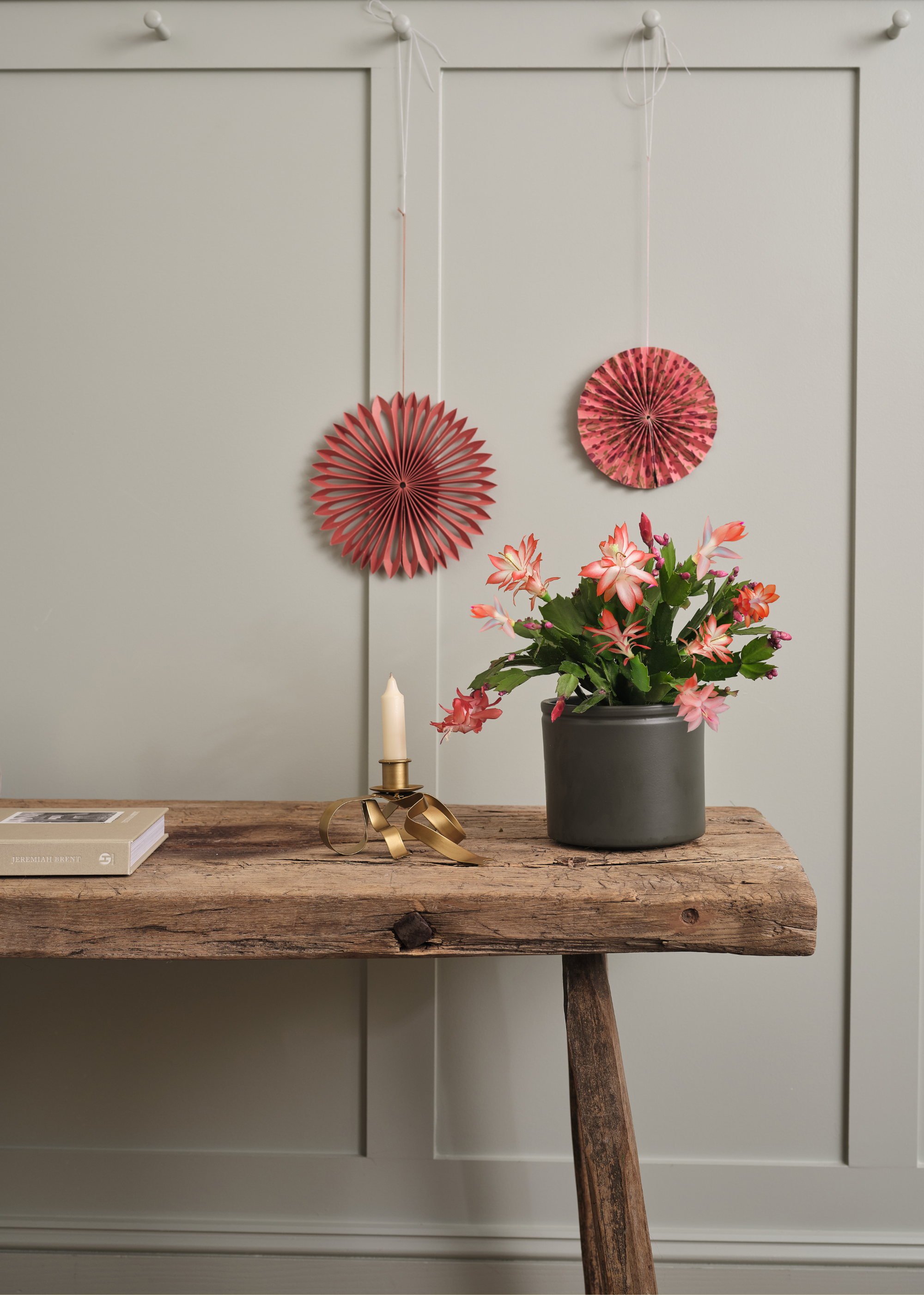 A pink Christmas cactus in a dark gray planter by a candle in a gold holder on a wood bench