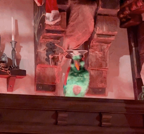 Rummy the Parrot Animatronic Disney World