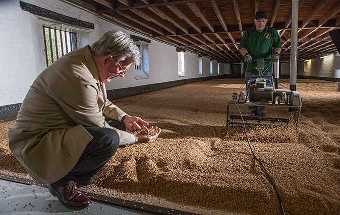 Warminster Maltings, Britain&#039;s oldest malting. Ploughing and turning and levelling the barley. ©Richard Cannon/Country Life Picture Library