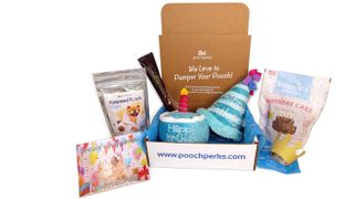 Pooch Perks dog subscription box
