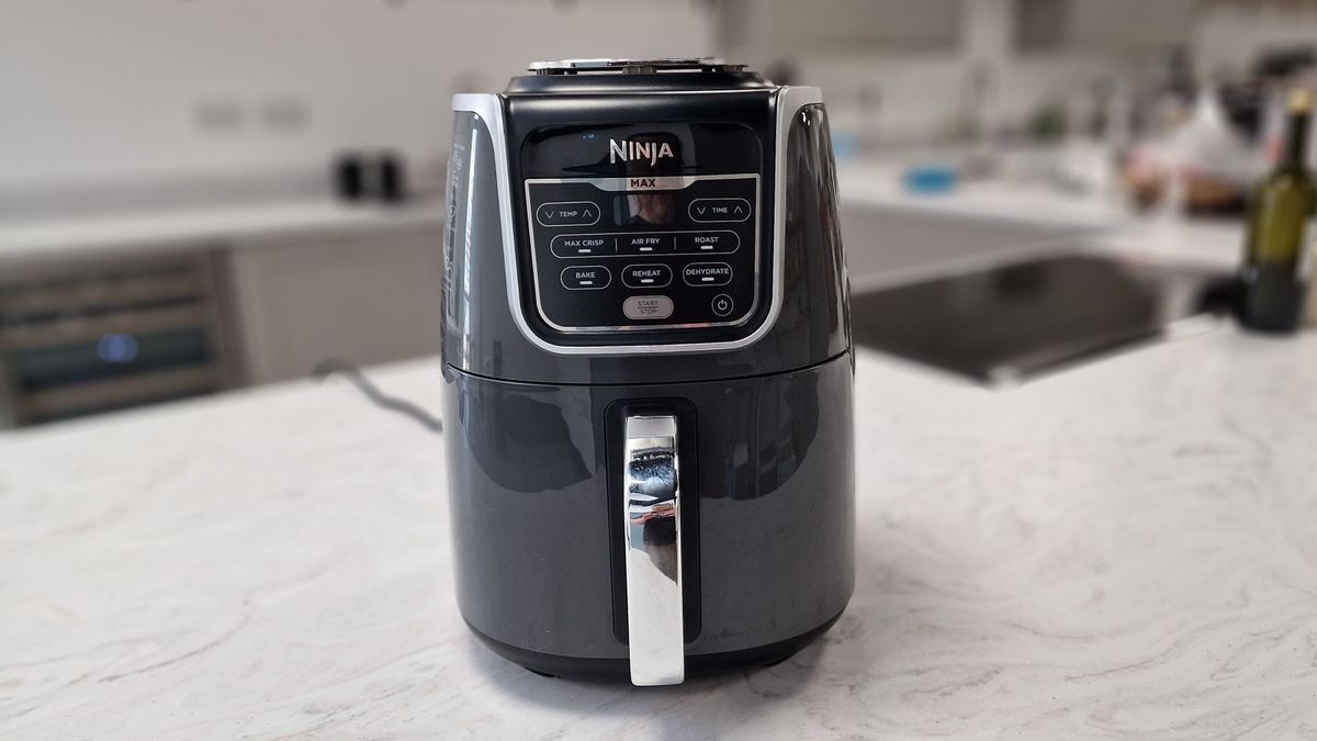 Ninja Max XL Air Fryer review: a neat air fryer for small servings