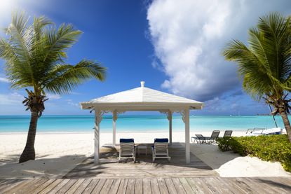 Beach chairs under a pavilion surrounded by palm trees in front of the ocean