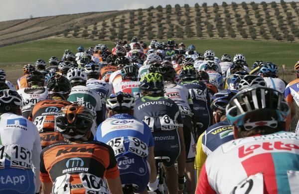 The bunch en route to Jaen.