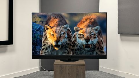 OLED TV: Panasonic MZ1500