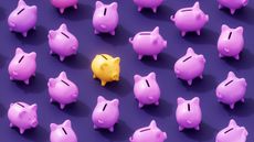 A yellow piggy bank in a sea of purple ones.
