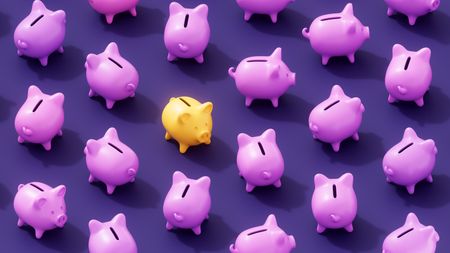 A yellow piggy bank in a sea of purple ones.