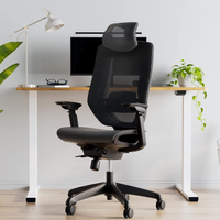 Flexispot mesh ergonomic office chair: $300Now $195 at Amazon
Save $105 with coupon