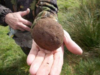 Scotland Roman Raid excavation