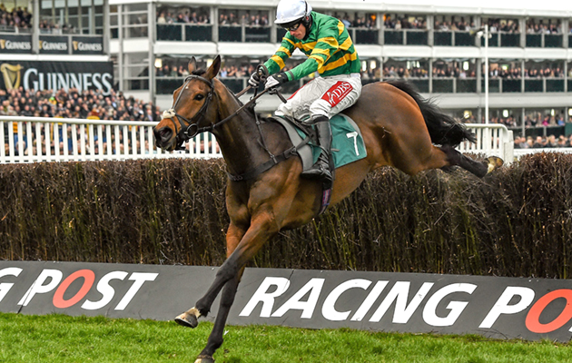 Cheltenham Festival preview 15 March 2016; Minella Rocco, with Derek O'Connor up, on their way to winning the 146th Year of the National Hunt Steeple Chase Challenge Cup. Prestbury Park, Cheltenham, Gloucestershire, England. Picture credit: Seb Daly / SPORTSFILE (Photo by Sportsfile/Corbis via Getty Images)