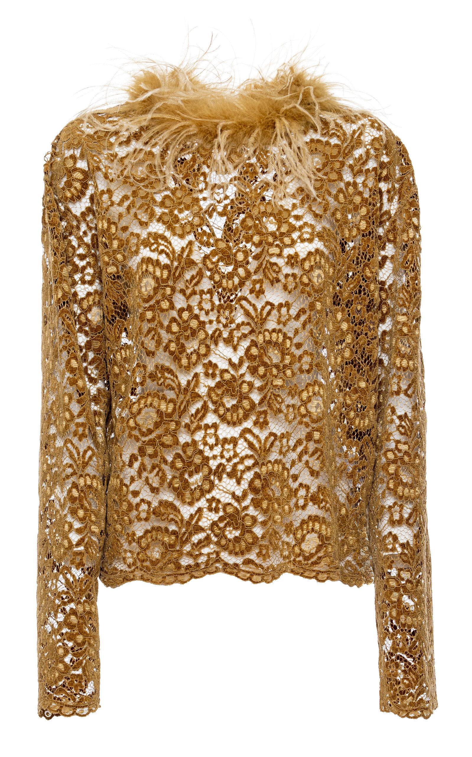 Feather-Trimmed Lace Top