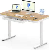 FlexiSpot Comhar