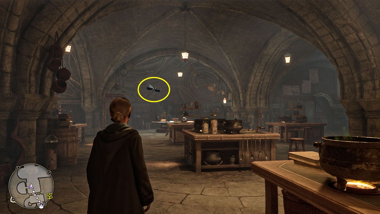 Hogwarts Legacy Daedalian Keys Potions Class