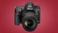 Nikon D780 (body only)AU$2,811