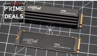 Two Crucial T700 SSDs - one with heatsink, one without, on a black grid with white lines.