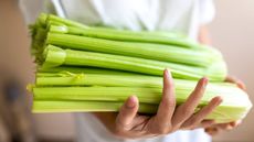 Harvested celery being held in a pair of hands