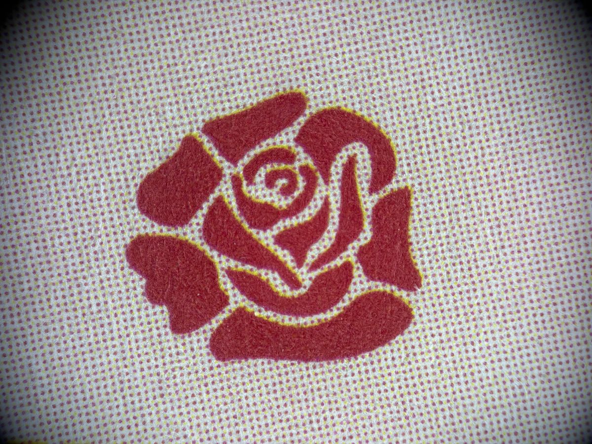A close up image of a rose imprint taken on the Freewell 45x lens