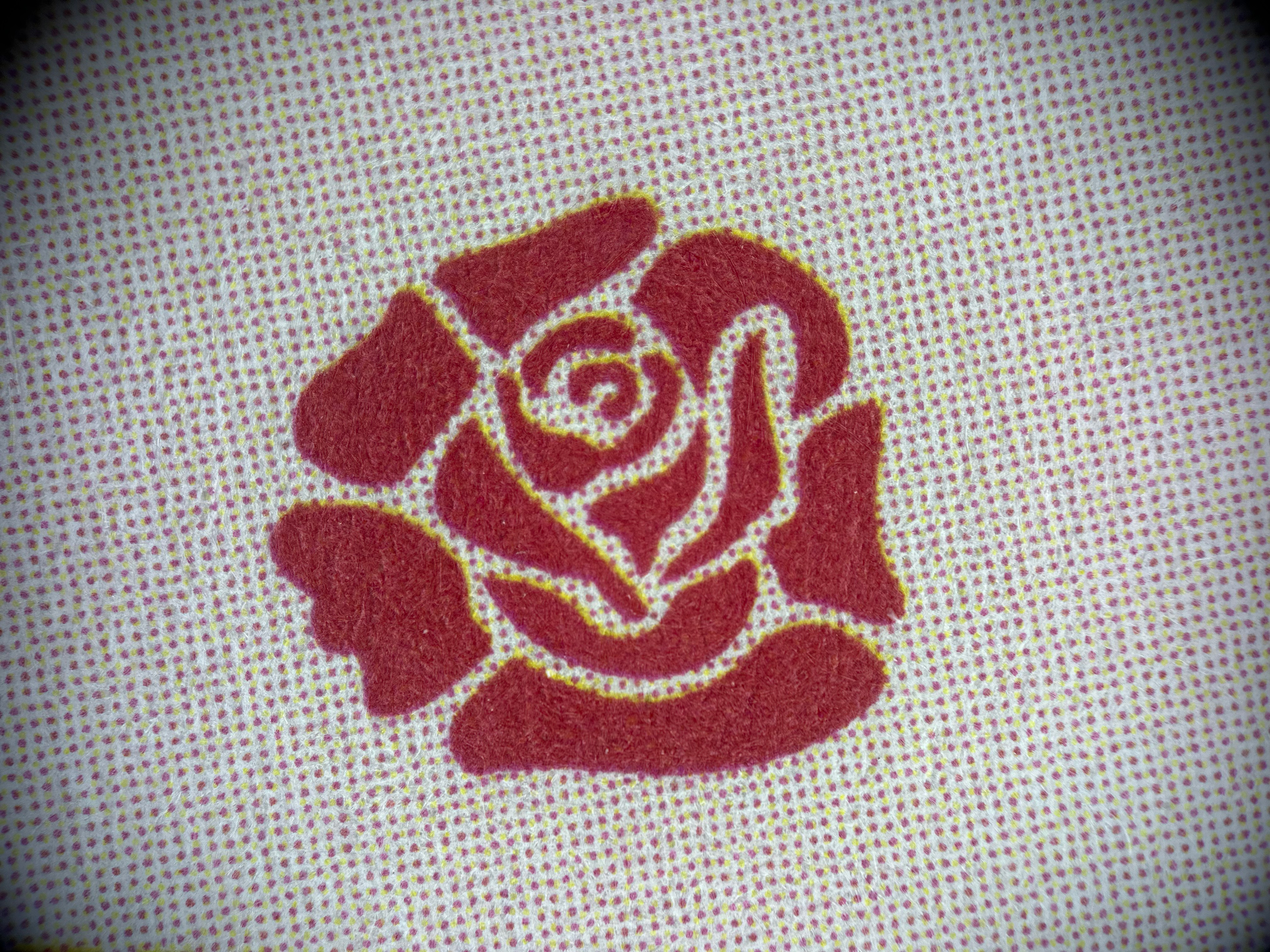 A close up image of a rose imprint taken on the Freewell 45x lens
