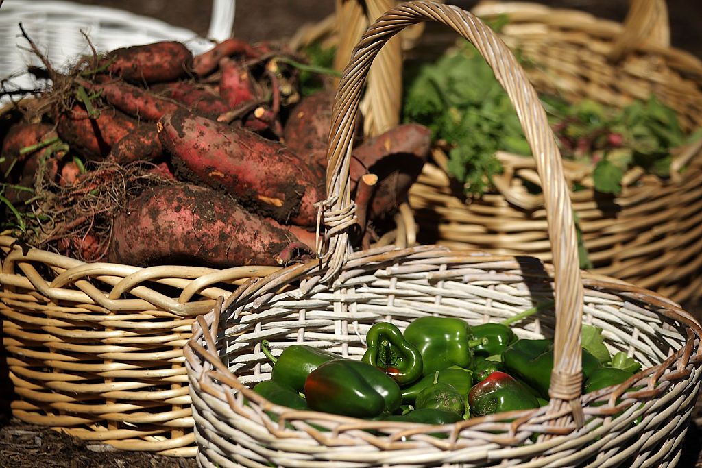 White House kitchen garden. 