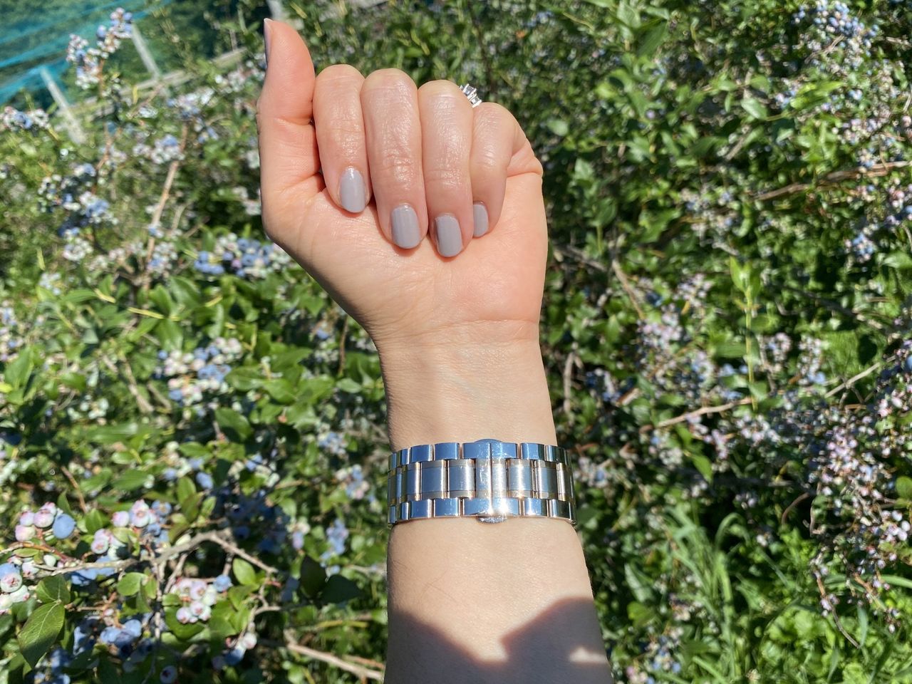 WsC Fury Apple Watch Strap