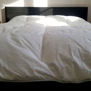 The Simba Hybrid Duvet on a bed with a black headboard