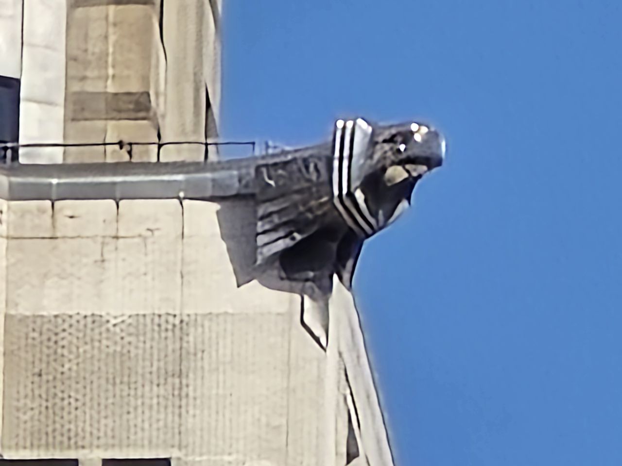 Samsung Galaxy S24 Ultra Zoom Sample.