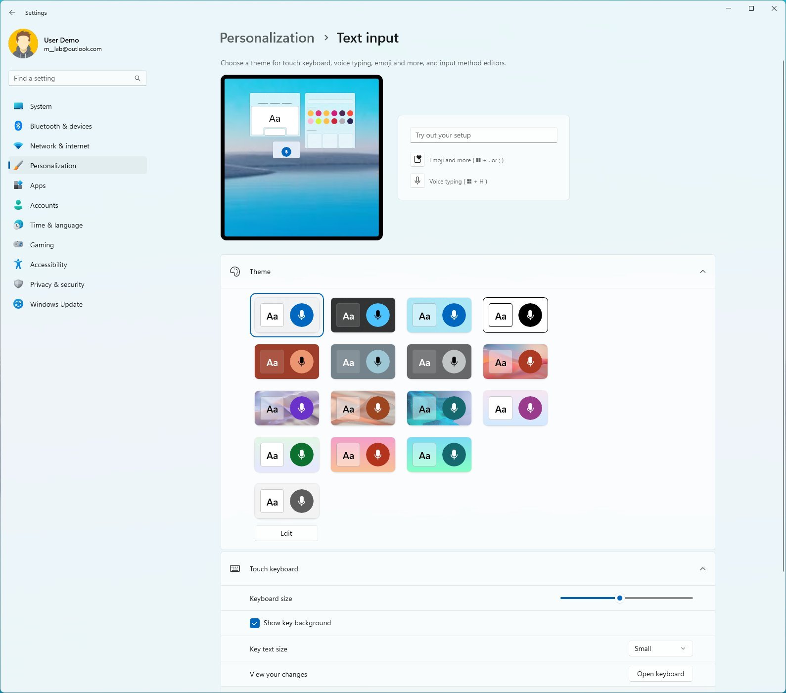 Text input settings