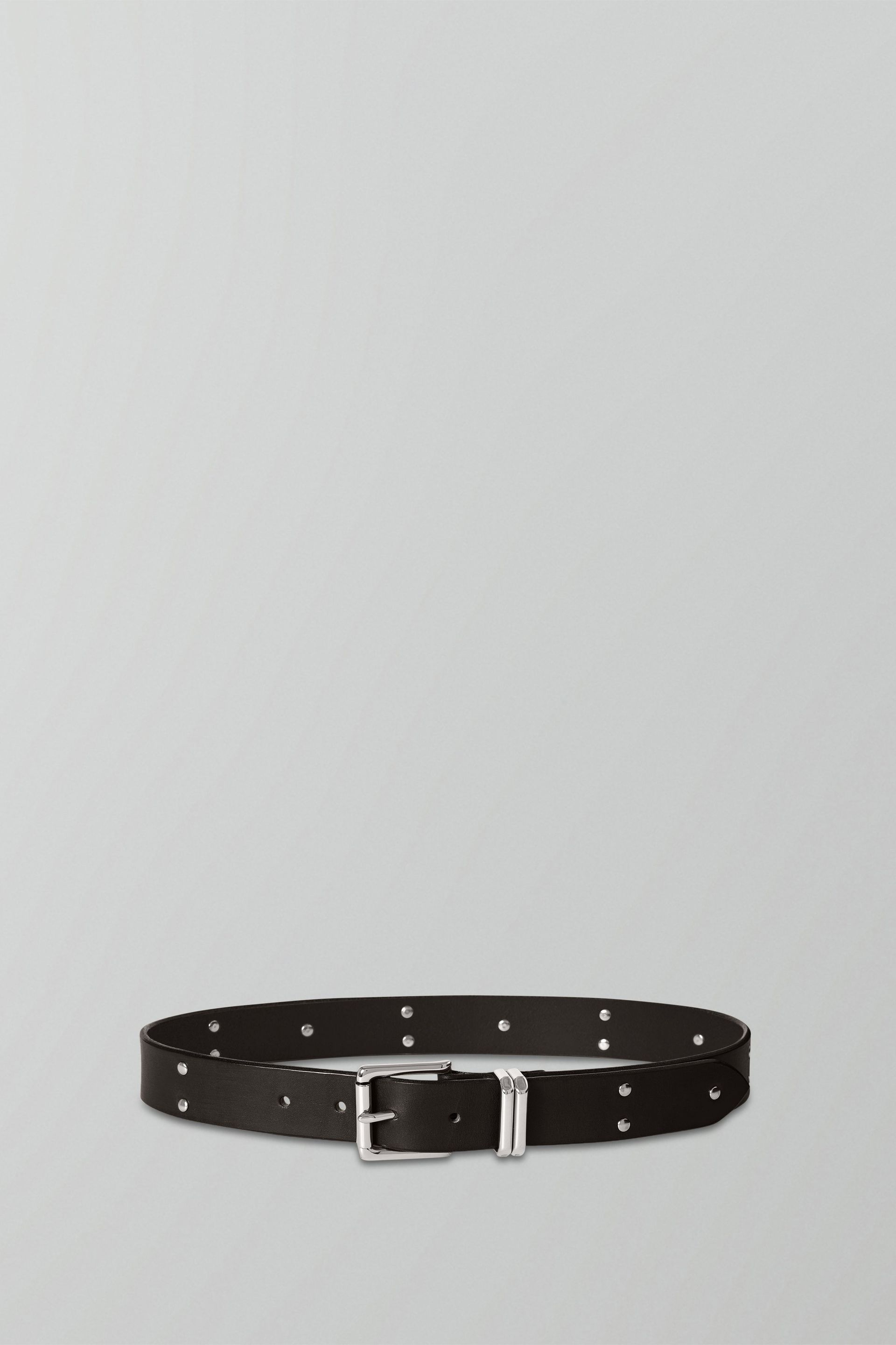 Studded Belt in Dark Brown