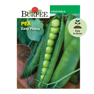 Packet of pea seeds