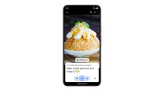 google gemini answering question over photo
