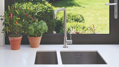 A kitchen sink with a basil and chilli plant next to it