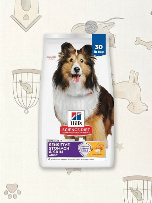 Adult Sensitive Stomach & Skin Dry Dog Food, Chicken
