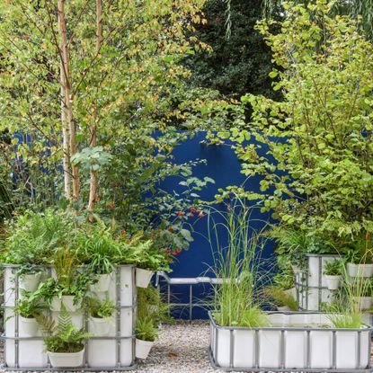 raised beds
